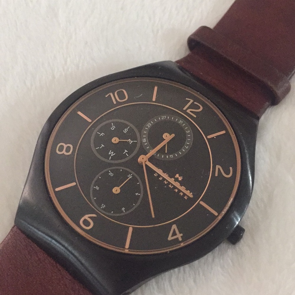 Skagen Men’s Watch